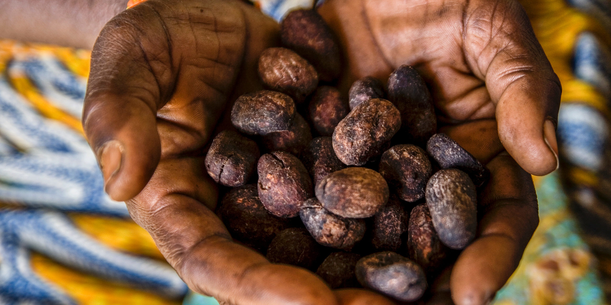 From the Fruit to the Nut to the Butter: The Shea Process – R&R Luxury Ghana